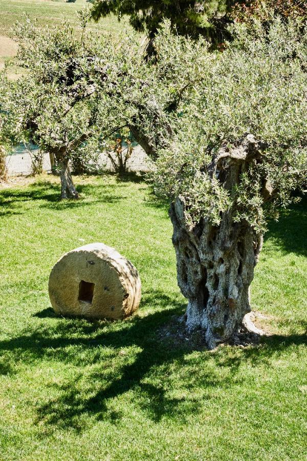 Вилла Agriturismo Dimina Маринелла Экстерьер фото
